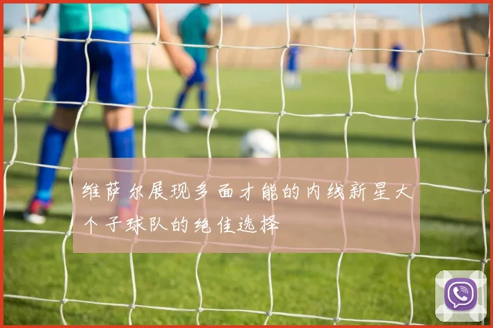 维萨尔展现多面才能的内线新星大个子球队的绝佳选择